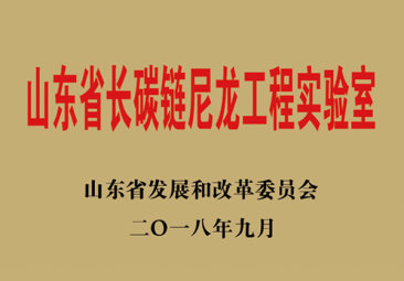 Dongchen Ruisen