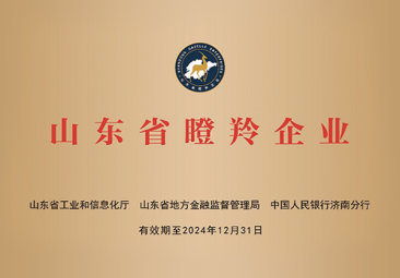 Dongchen Ruisen